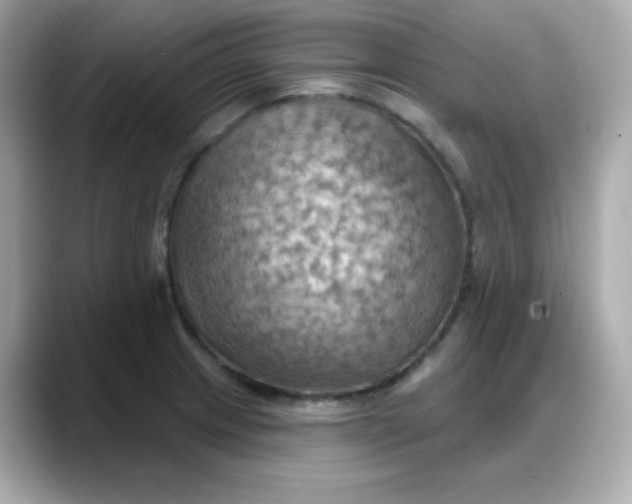X0000088381233200706051054