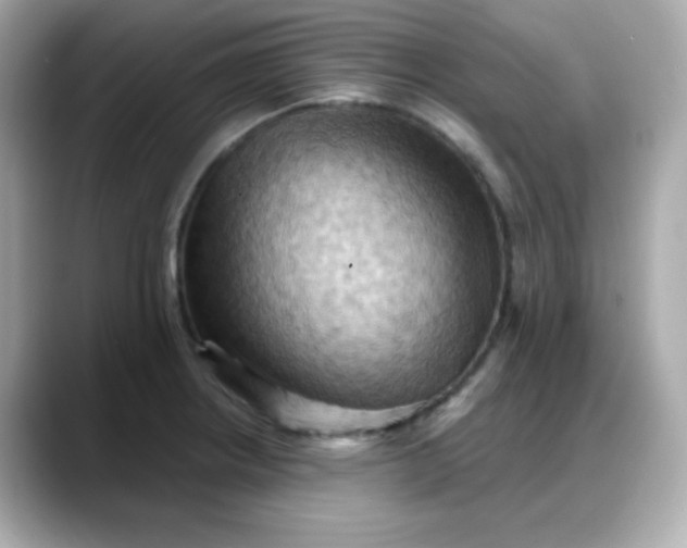 X0000088381234200706051054