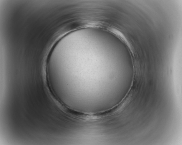X0000088381235200706051054