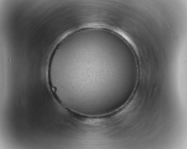 X0000088381237200706051054