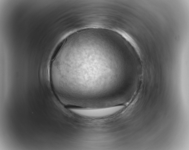 X0000088381238200706051054