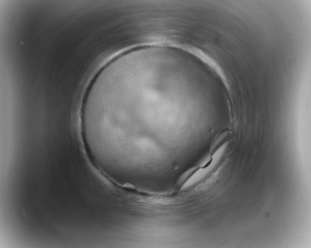 X0000088381239200706051054