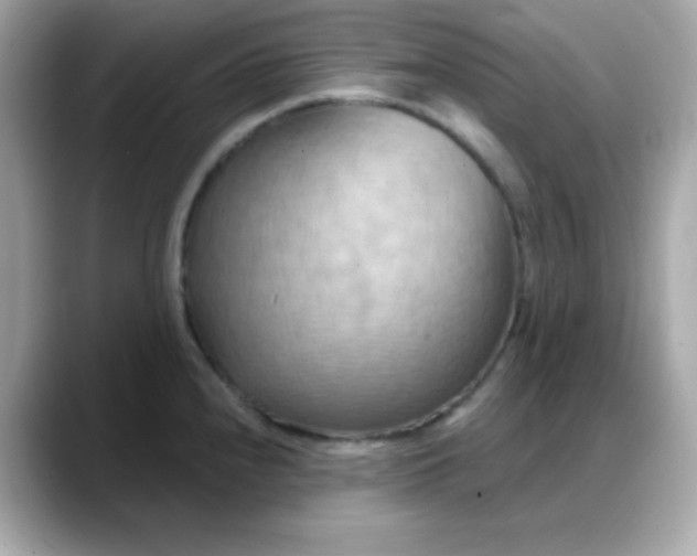 X0000088381240200706051054