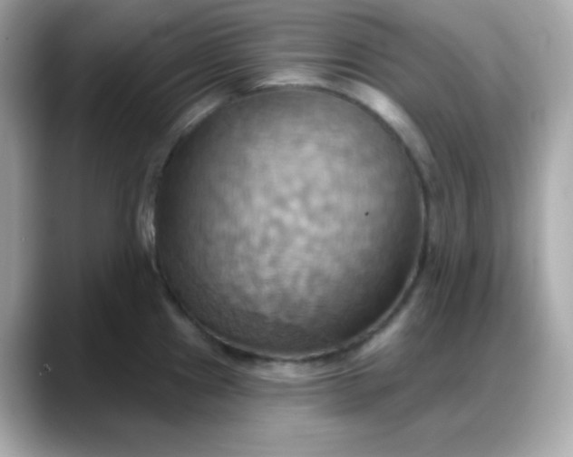 X0000088381241200706051054