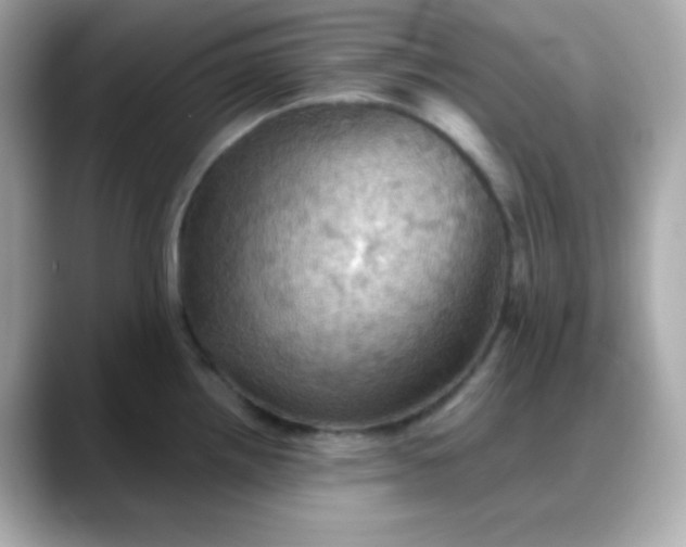 X0000088381242200706051054