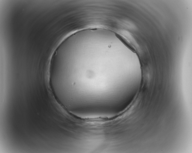 X0000088381244200706051054