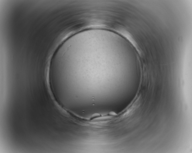 X0000088381245200706051054