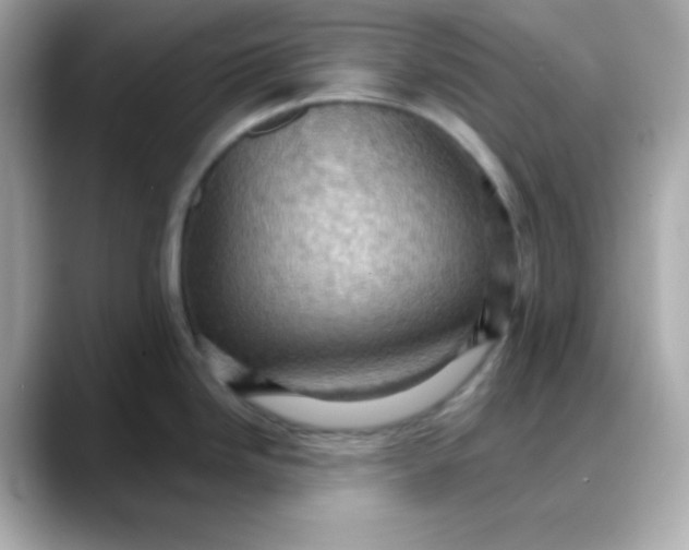 X0000088381246200706051054