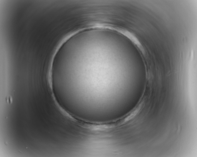 X0000088381247200706051054