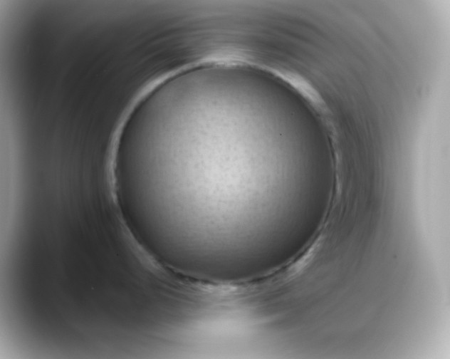X0000088381248200706051054