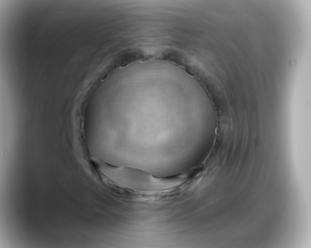 X0000088381249200706051053