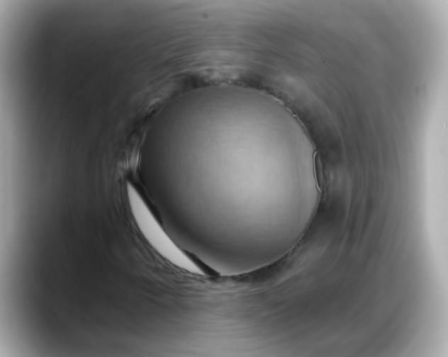 X0000088381250200706051053
