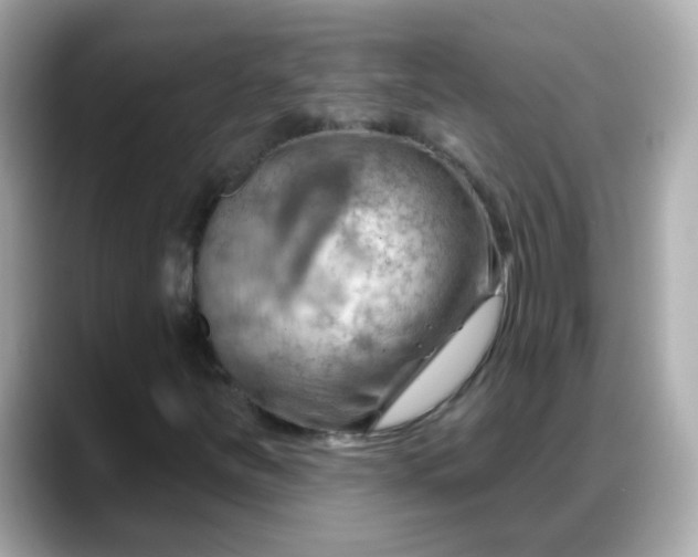 X0000088381251200706051053