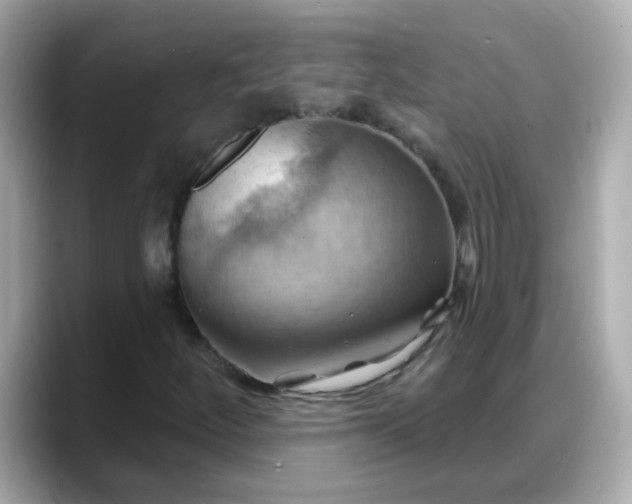 X0000088381252200706051053