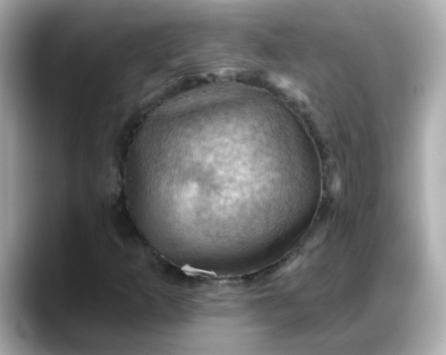 X0000088381253200706051053