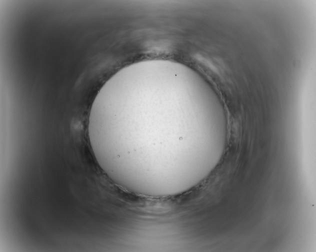 X0000088381254200706051053