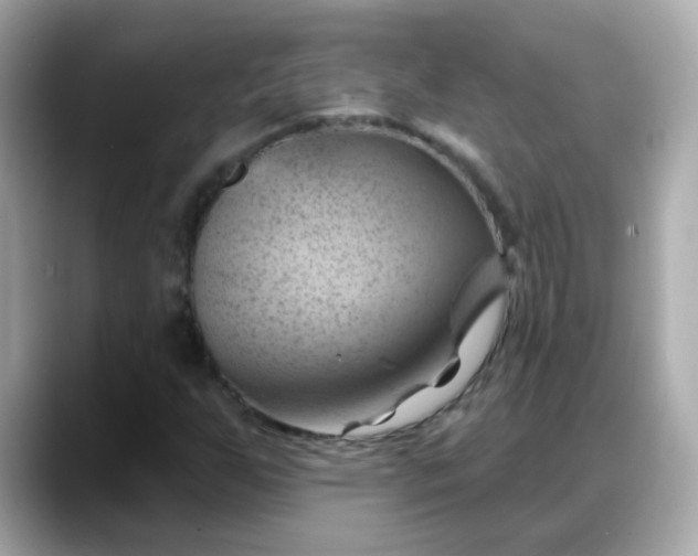 X0000088381255200706051053