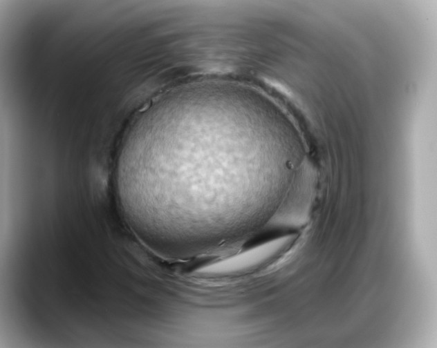 X0000088381257200706051053