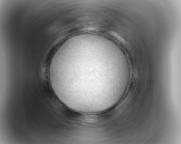X0000088381258200706051053