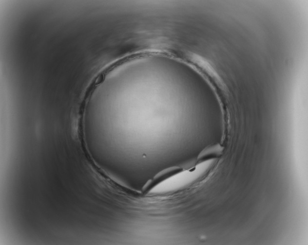 X0000088381260200706051053
