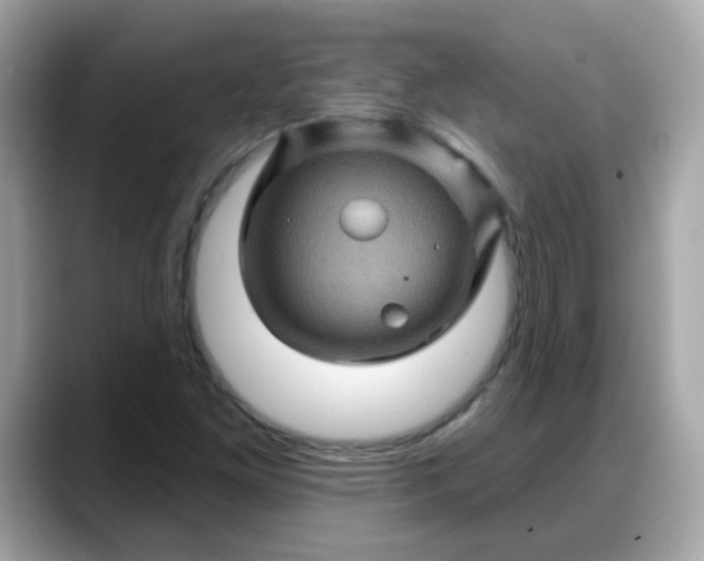 X0000088381261200706051053