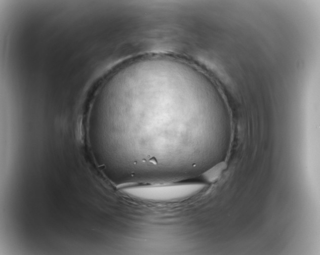 X0000088381262200706051053