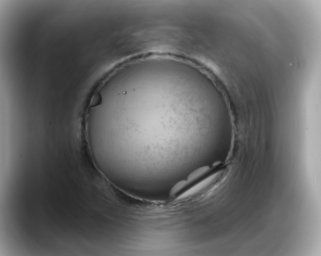 X0000088381263200706051053