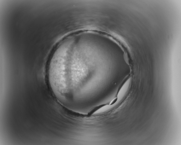 X0000088381264200706051053