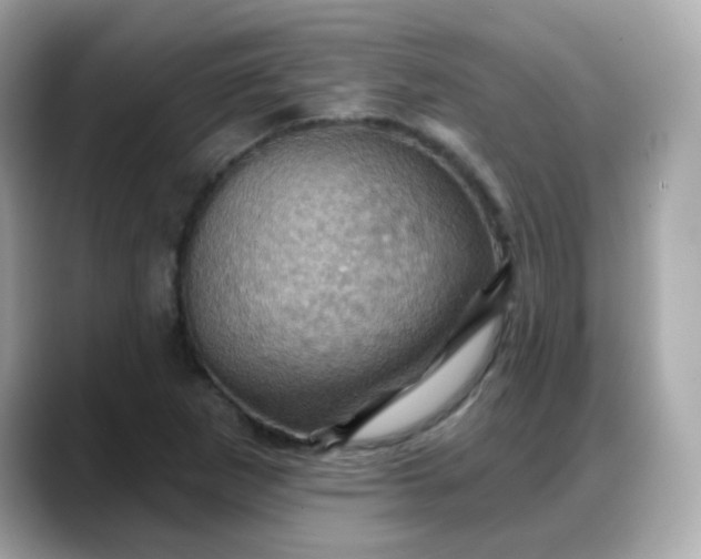X0000088381265200706051053