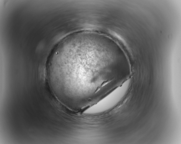 X0000088381267200706051053