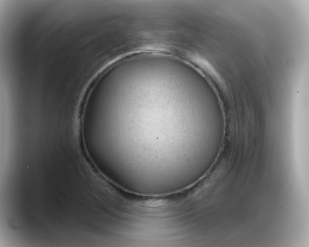 X0000088381268200706051053