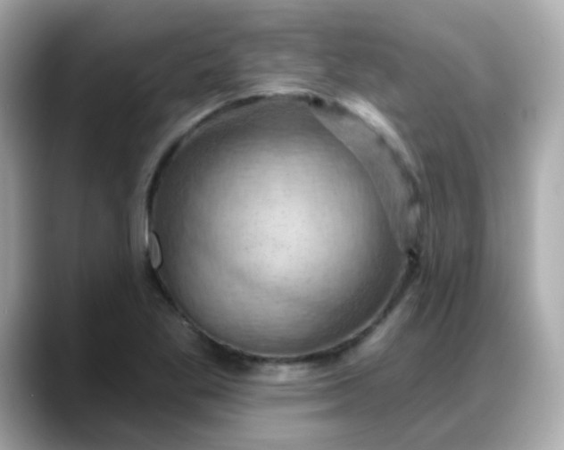 X0000088381269200706051053