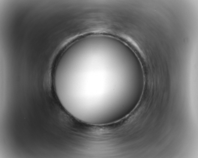 X0000088381270200706051053