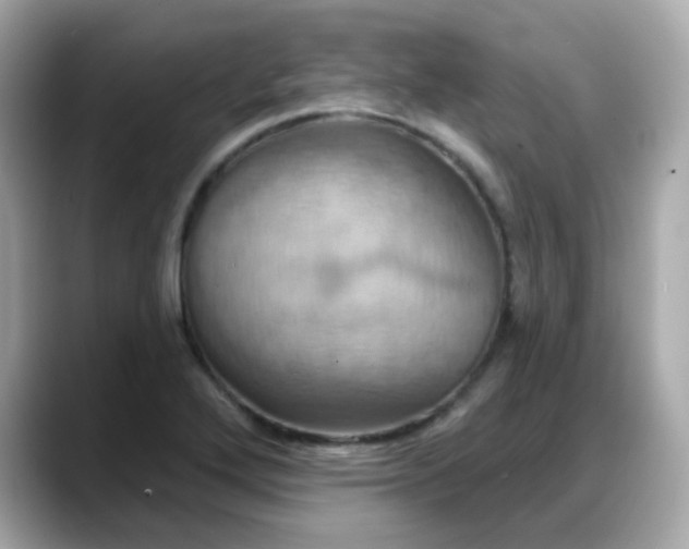 X0000088381272200706051053
