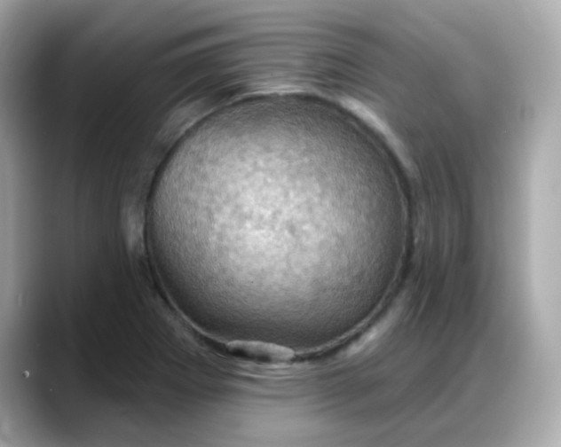 X0000088381273200706051053