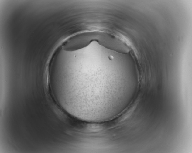 X0000088381275200706051053