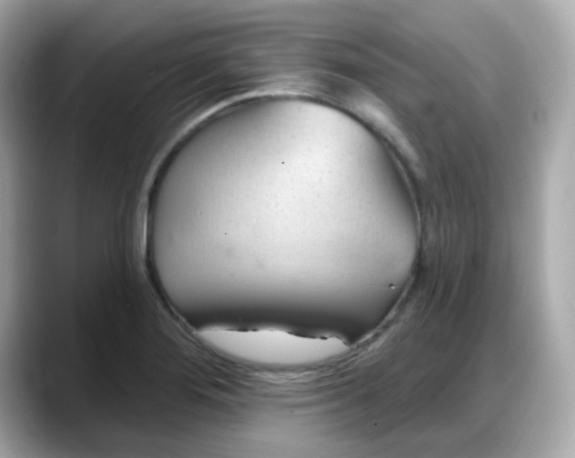 X0000088381276200706051053