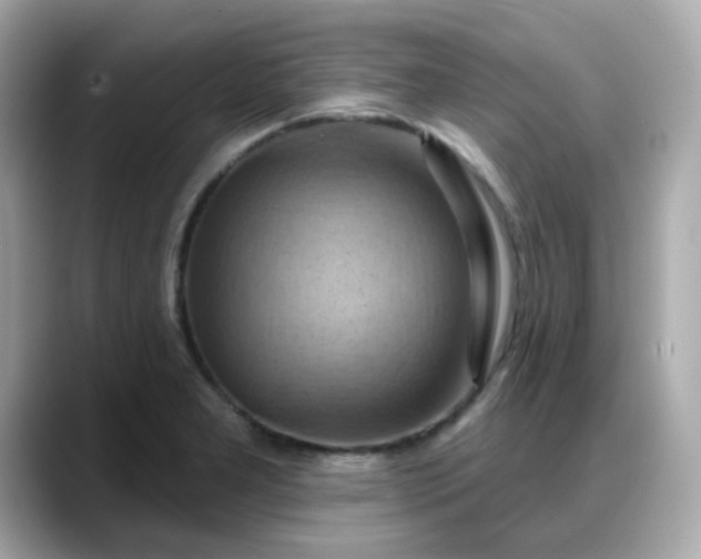 X0000088381277200706051053