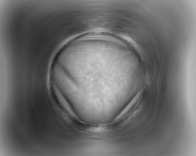 X0000088381278200706051053