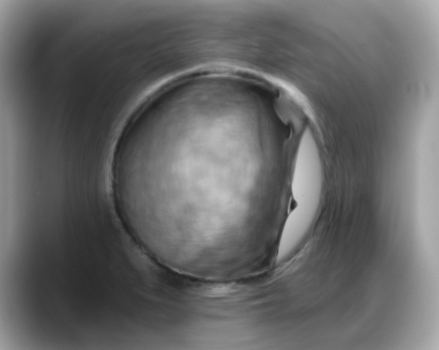 X0000088381279200706051053