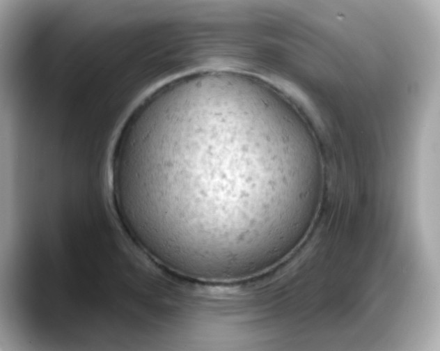 X0000088381280200706051053