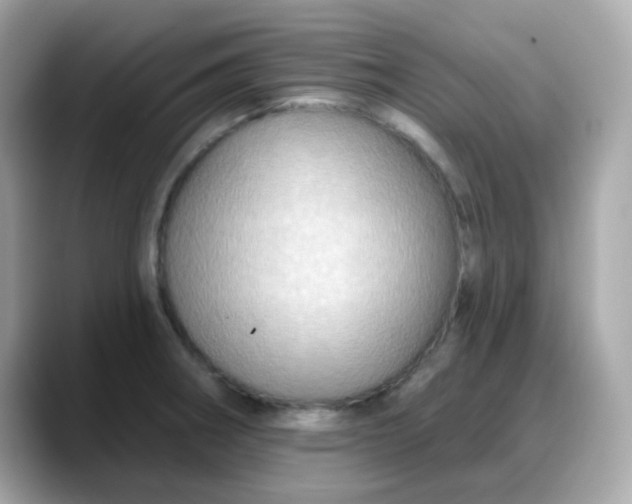 X0000088381282200706051053