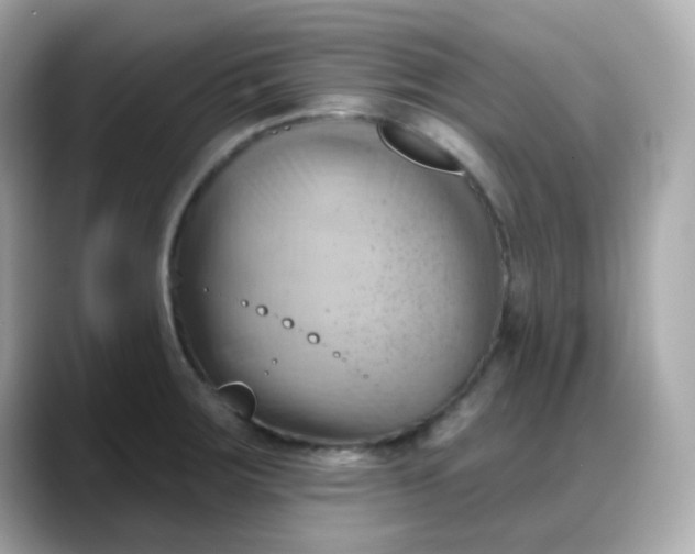 X0000088381283200706051053