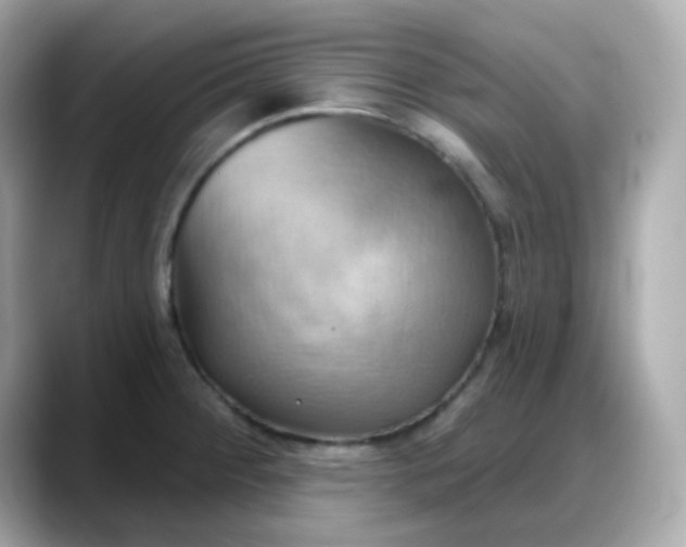 X0000088381284200706051053