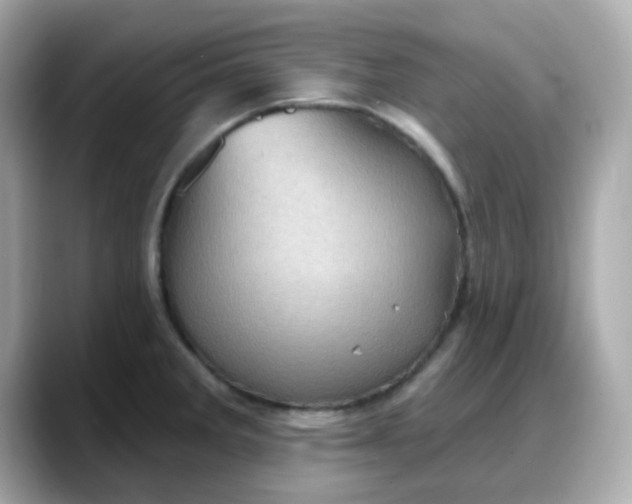 X0000088381285200706051053
