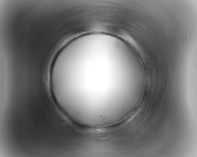 X0000088381286200706051053