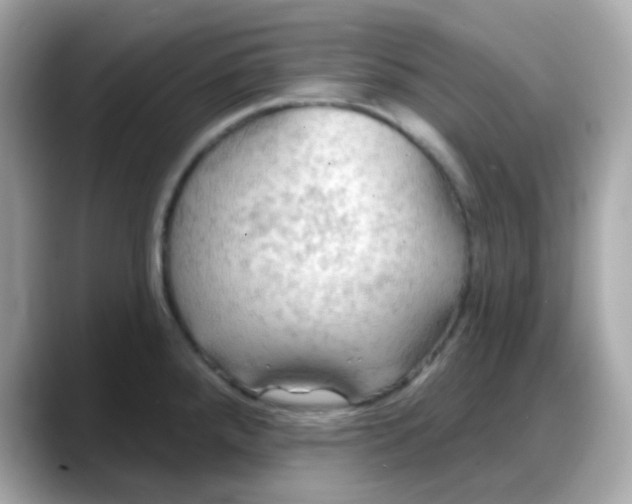 X0000088381288200706051053
