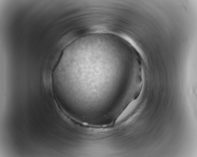 X0000088381289200706051053