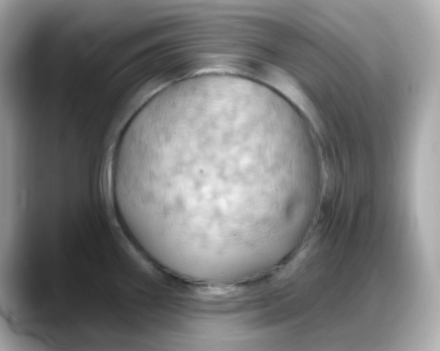 X0000088381290200706051053