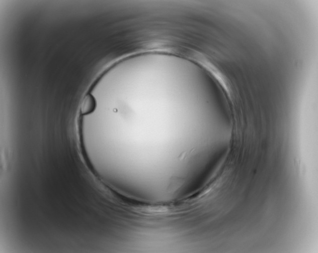 X0000088381291200706051053